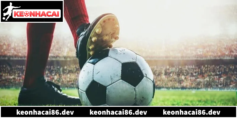 Hướng dẫn cách xem tỷ lệ kèo bóng đá chuẩn xác nhất