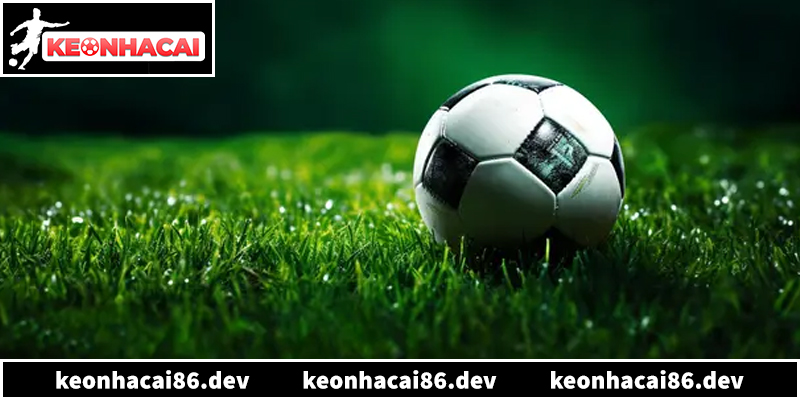 Tổng hợp kinh nghiệm soi kèo thực chiến giúp bạn về bờ